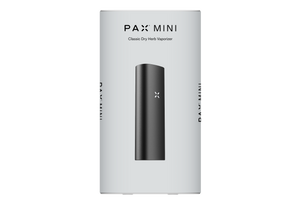 PAX Mini 2 (Greenstone)