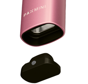 PAX Mini 2 (Pink Crush)