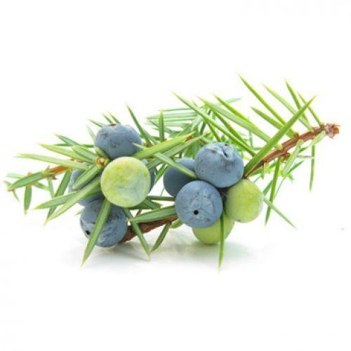 Organic Juniper Berry 5ml
