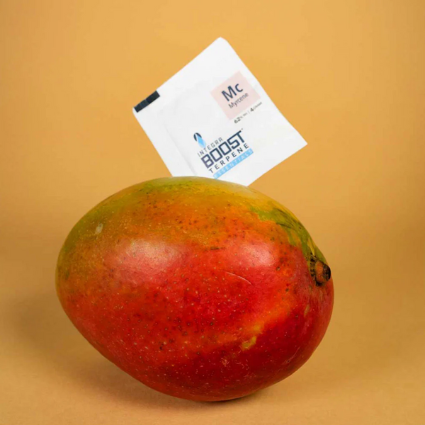 Integra Boost Terpene Myrcene 62% 4g x48 - Display