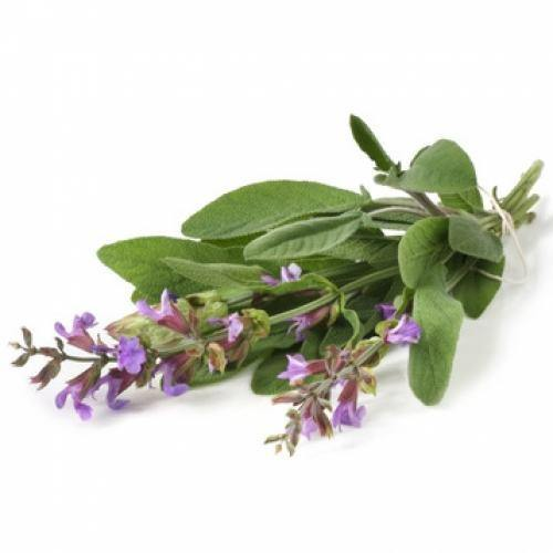 Clary Sage Organic Demeter 5ml