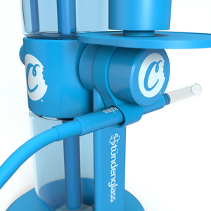 Cookies X Stündenglass hose holder