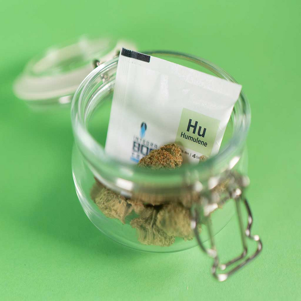 Integra Boost Terpene Humulene 62% 4g x48 - Display