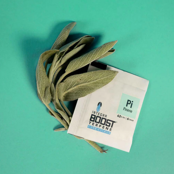 Integra Boost Terpene Pinene 62% 4g x48 - Display