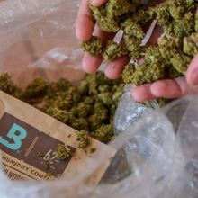 Boveda 8g 58% x 300 unwrapped - BigBox