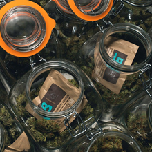 Boveda 8g 58% x 300 unwrapped - BigBox