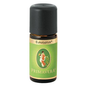 Organic Eucalyptus 5ml - Amsterdaze