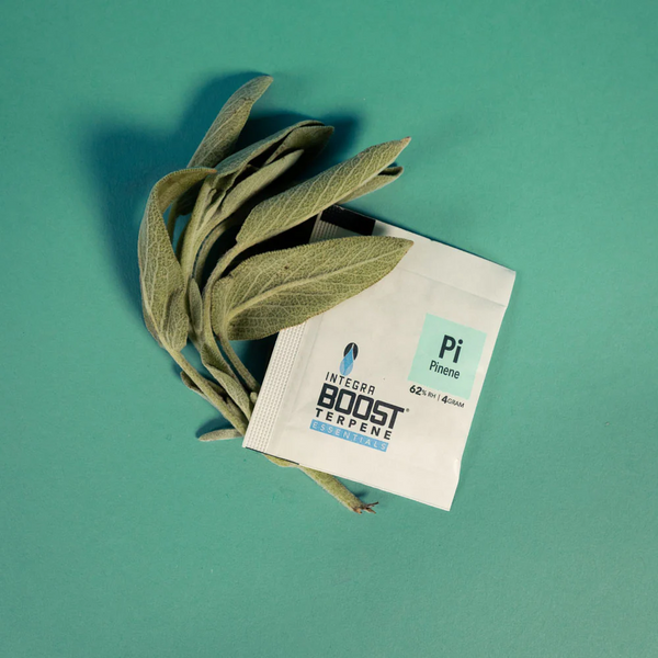 Integra Boost Pinene 62% 67g x12 - Display