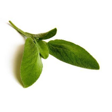 Organic Sage Demeter 5ml