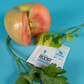 Integra Boost Terpene Terpinolene 62% 4g x48 - Display - Amsterdaze