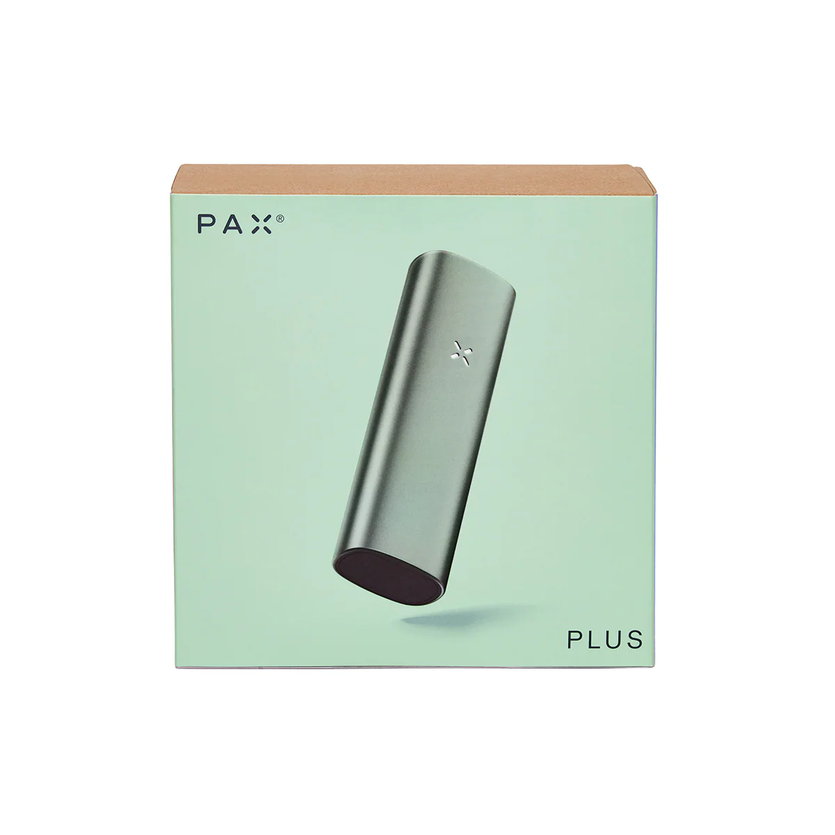 PAX Plus - Complete Kit Sage - Amsterdaze