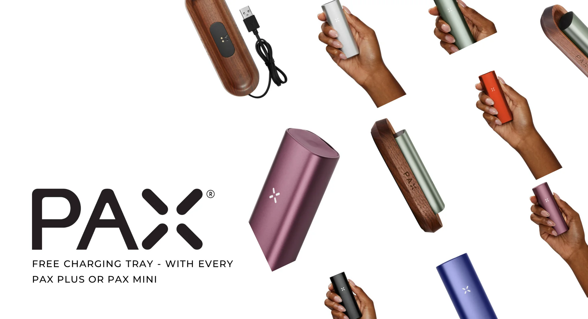 Pax Plus - Starter Kit - Amsterdaze